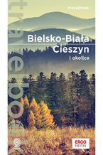 Okładka - Bielsko-Biała, Cieszyn i okolice. Travelbook. Wydanie 1 - Iwona Baturo
