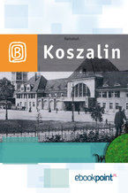 Okładka - Koszalin i okolice. Miniprzewodnik - Praca zbiorowa