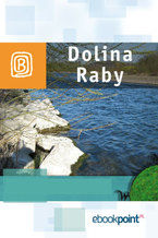 Okładka - Dolina Raby. Miniprzewodnik - Praca zbiorowa
