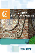Okładka - Olsztyn i Pola Grunwaldzkie. Miniprzewodnik - Praca zbiorowa
