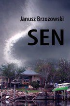 Okładka - Sen - Janusz Brzozowski
