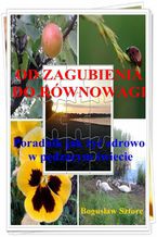 Okładka - Od zagubienia do równowagi. Jak żyć zdrowo w pędzącym świecie - Bogusław Sztorc