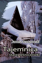 Okładka - Tajemnica starej leśniczówki - Janusz Brzozowski