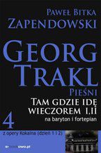Okładka - Tam gdzie idę wieczorem - Paweł Zapendowski
