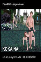 Okładka - Kokaina - Paweł Zapendowski