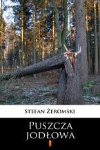 Okładka - Puszcza jodłowa - Stefan Żeromski