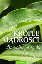 Okładka - Krople mądrości dla zabieganych - L. M. Book (red.)