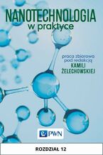 Okładka - Nanotechnologia w praktyce. Rozdział 12 - Kamilii Żelechowskiej