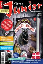 Okładka - Victor Junior 24/2016 - Praca zbiorowa