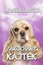 Okładka - Zakochany Kajtek - Monika Sawicka