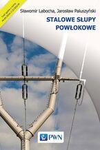 Okładka - Stalowe słupy powłokowe - Sławomir Labocha, Paluszyński Jarosław
