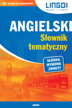 Okładka - Angielski. Słownik tematyczny - dr Alisa Mitchel-Masiejczyk