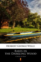 Okładka - Babes in the Darkling Wood. A Novel of Ideas - Herbert George Wells
