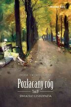 Okładka - Pozłacany róg. Tom IV - Doda Około-Kułak