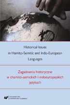 Okładka - Historical Issues in Hamito-Semitic and Indo-European languages. Zagadnienia historyczne w chamito-semickich i indoeuropejskich językach - red. Ireneusz Kida