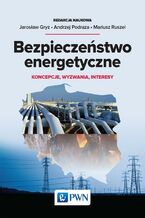 Okładka - Bezpieczeństwo energetyczne - Jarosław Gryz, Andrzej Podraza, Mariusz Ruszel