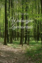 Okładka - Wakacyjne zawirowanie - Jean-Eric Bebą