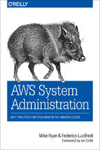 Okładka - AWS System Administration. Best Practices for Sysadmins in the Amazon Cloud - Mike Ryan, Federico Lucifredi