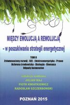 Okładka - Między ewolucją a rewolucją - w poszukiwaniu strategii energetycznej Tom 2 - Piotr Kwiatkiewicz, Radosław Szczerbowski, Julian Maj