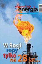 Okładka - Energia Gigawat nr 4/2016 - Sylwester Wolak