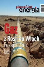 Okładka - Energia Gigawat nr 6-7/2017 - Sylwester Wolak