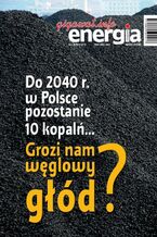 Okładka - Energia Gigawat nr 8/2018 - Sylwester Wolak