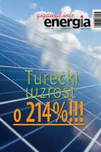 Okładka - Energia Gigawat nr 4/2018 - Sylwester Wolak