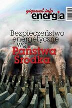 Okładka - Energia Gigawat nr 10/2016 - Sylwester Wolak