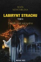 Okładka - Labirynt strachu. Tom II. Światło jest kapryśne - Beata Nowosielska