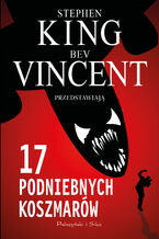 Okładka - 17 podniebnych koszmarów - Stephen King, Bev Vincent