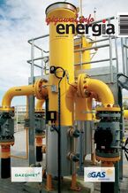 Okładka - Energia Gigawat nr 4/2019 - Sylwester Wolak