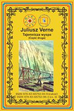Okładka - Tajemnicza wyspa. Część 2. Porzucony - Juliusz Verne