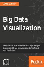 Okładka - Big Data Visualization. Bring scalability and dynamics to your Big Data visualization - Dalong Chen, James D. Miller