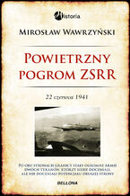Okładka - Powietrzny pogrom ZSRR. 22 czerwca 1941 - Mirosław Wawrzyński