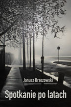 Okładka - Spotkanie po latach - Janusz Brzozowski