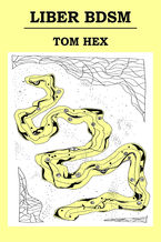 Okładka - Liber BDSM - Tom Hex