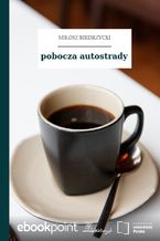 Okładka - pobocza autostrady - Miłosz Biedrzycki