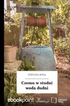 Okładka - Czemu w studni woda dudni - Stefania Buda
