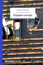 Okładka - Żygające posągi - Bruno Jasieński