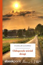 Okładka - Chłopczyk wśród drogi - Stanisław Jachowicz