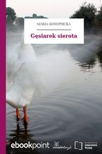 Okładka - Gęsiarek sierota - Maria Konopnicka