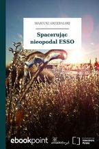 Okładka - Spacerując nieopodal ESSO - Mariusz Grzebalski