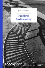 Okładka - Przekrój fantastyczny - Jerzy Liebert