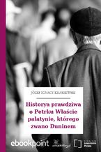 Okładka - Historya prawdziwa o Petrku Właście palatynie, którego zwano Duninem - Józef Ignacy Kraszewski