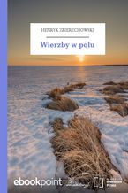 Okładka - Wierzby w polu - Henryk Zbierzchowski