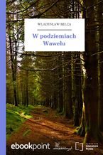 Okładka - W podziemiach Wawelu - Władysław Bełza