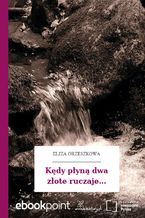 Okładka - Kędy płyną dwa złote ruczaje - Eliza Orzeszkowa