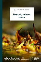 Okładka - Wtorek, miasto ziewa - Julian Kornhauser