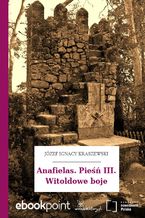 Okładka - Anafielas. Pieśń III. Witoldowe boje - Józef Ignacy Kraszewski