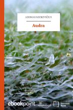 Okładka - Audra - Adam Mickiewicz